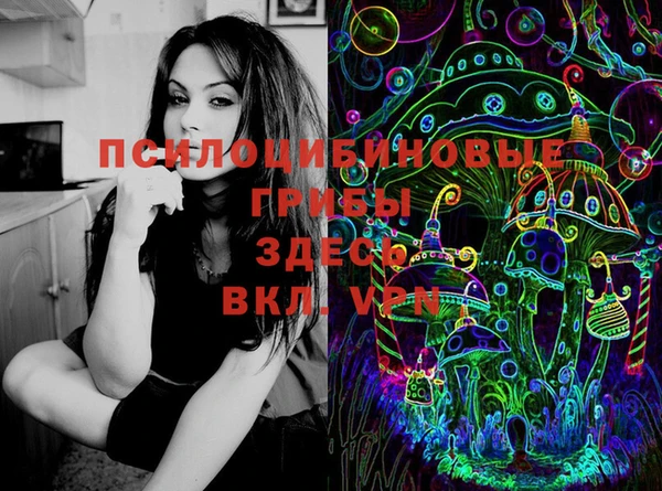 мет Абаза