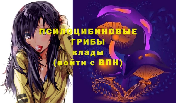 мет Абаза