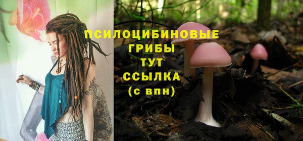 мет Абаза